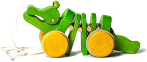 crocodile1