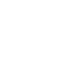 Transparent Image
